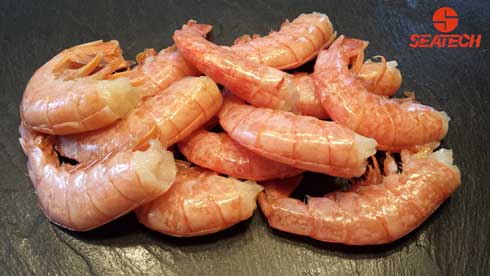 A photograph of Argentine langostino headless shell on ez peel in a two pound bag (EZ PEEL).